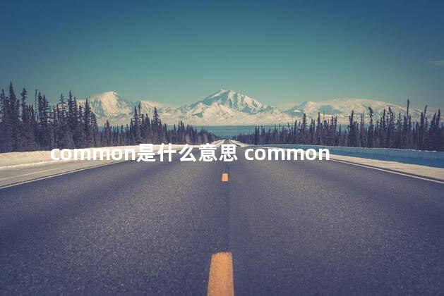 common是什么意思 common是可数名词吗